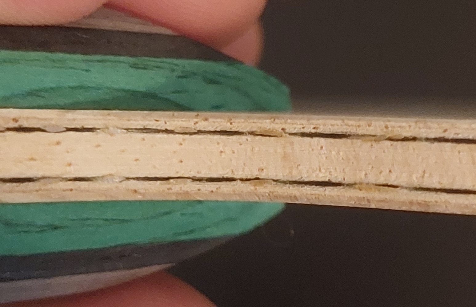 20230303_191237.jpg