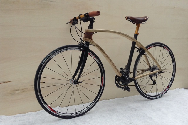 animus bike 2 - 2.JPG