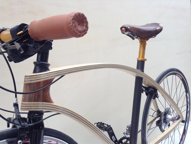 animus bike 2 - 3.JPG
