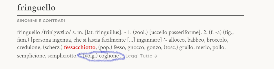 COGLIONE1.png
