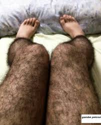 gambe pelose.jpg