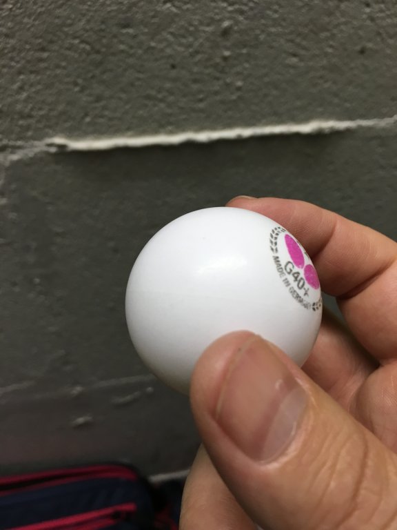 image.jpeg
