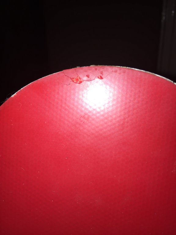 image.jpeg