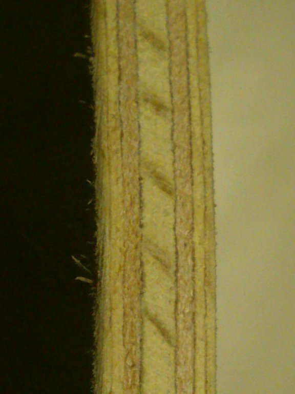 image5.JPG