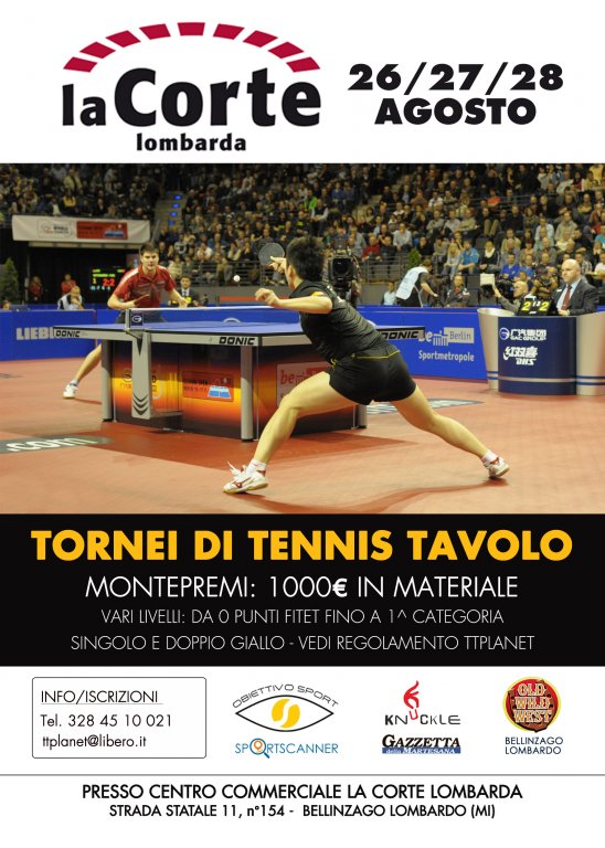 LOCANDINA_PING copia.jpg