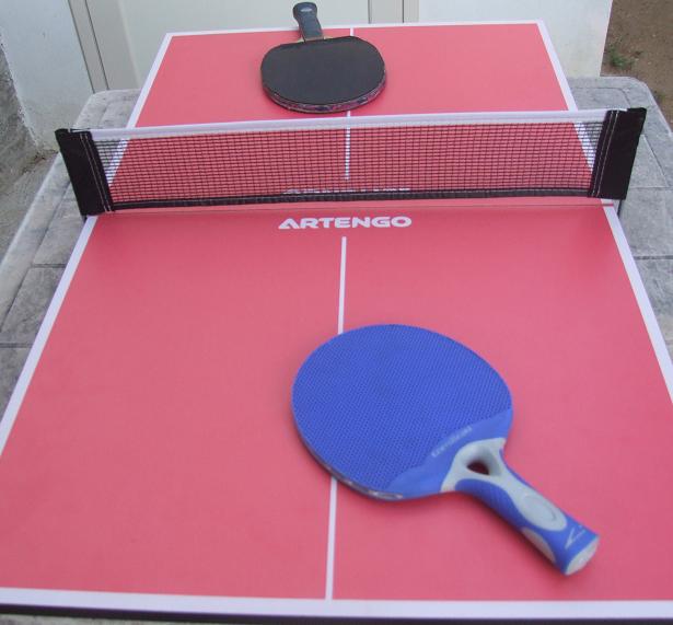 minipingpong.jpg