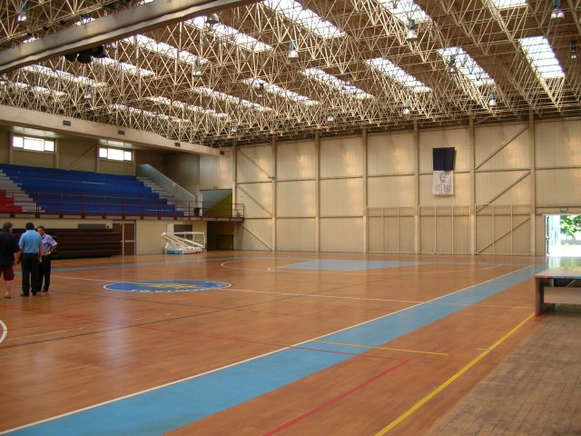 Pal3.jpg