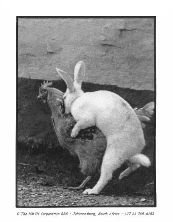 rabbit+chicken.jpg