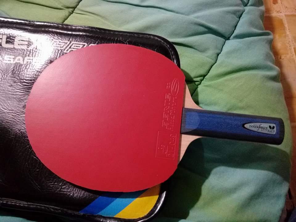 received_1827129527320914.jpeg