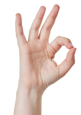 Screen Shot 07-19-22 at 05.13 PM.PNG