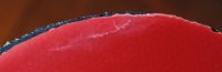 00DSC_4887.jpg