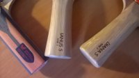 WP_20160318_10_46_12_Pro.jpg