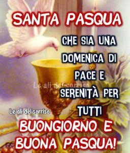IMG-20170416-WA0032.jpg