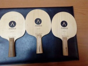 IMG_20170723_115148.jpg