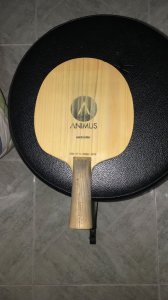 IMG-20180206-WA0059.jpg