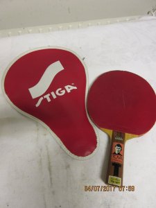 Stiga Tova Stipancic pic 1.jpg