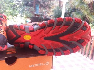 20180730_153041.jpg