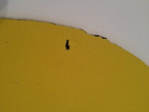 88D74AB2-3029-423B-B62F-BA725FBE4D06.jpeg