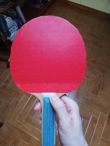 IMG_20190722_194721.jpg