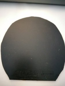 IMG_20220918_095705.jpg