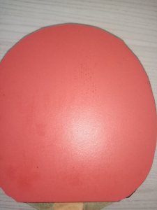 IMG_20221016_204359.jpg