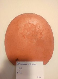 6_Tenergy19 (2).jpg