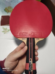 IMG_20230330_125344.jpg