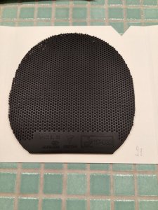 IMG_0239.jpeg