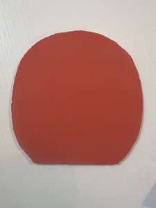 IMG_1282.jpeg