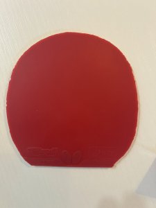 IMG_1281.jpeg