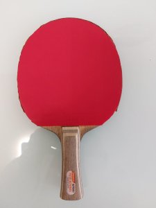 20231205_125426.jpg