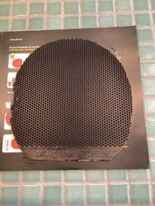IMG_0627.jpeg