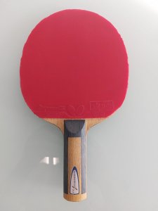 17053951374404027644911785773284.jpg