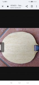 Screenshot_20240223_093054_com.android.chrome.jpg