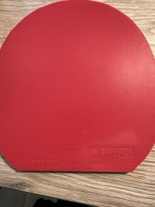 IMG_2553.jpeg