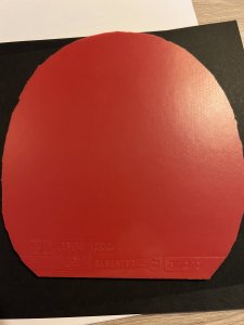 IMG_2735.jpeg