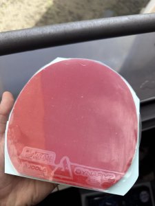 IMG_7742.jpeg