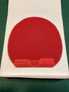 IMG_1210.jpeg