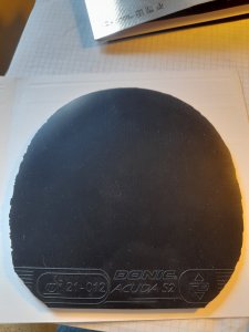20241005_162534.jpg