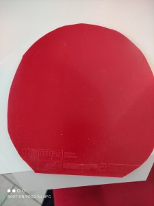 IMG_20241110_120935.jpg