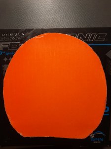 20241120_181140.jpg