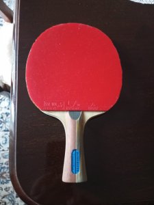 IMG-20241122-WA0019.jpg