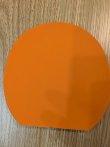 PXL_20250119_161157588.jpg