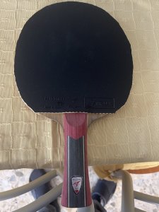IMG_4897.jpeg