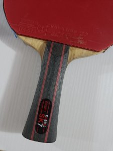IMG20250309200324.jpg