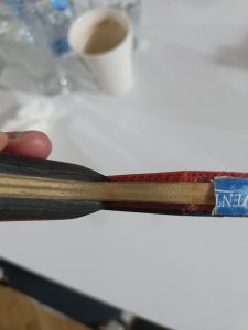 IMG20250309200345.jpg