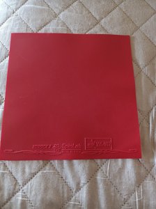 IMG_20250318_132134.jpg