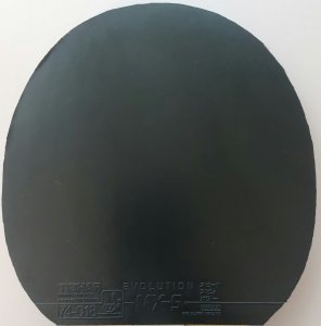 20250326_160912.jpg
