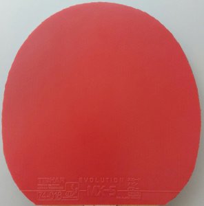 20250326_160926.jpg