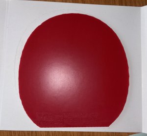 IMG_4054.jpeg